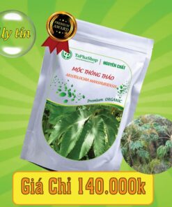 Công dụng của mộc thông thảo trong việc chữa tiểu buốt