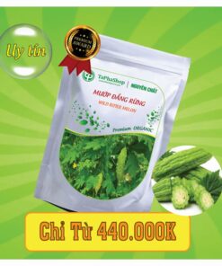 Công dụng của mướp đắng rừng trong việc hỗ trợ điều trị tiểu đường 