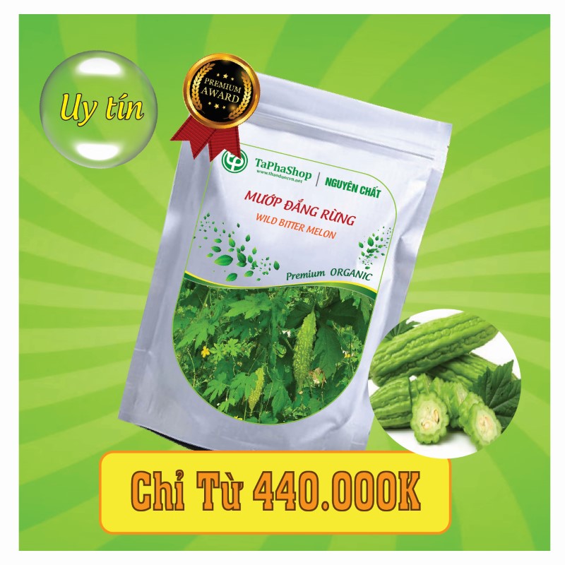 Công dụng của mướp đắng rừng trong việc hỗ trợ điều trị tiểu đường