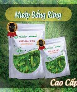 Hướng dẫn sử dụng mướp đắng rừng hỗ trợ điều trị tiểu đường 