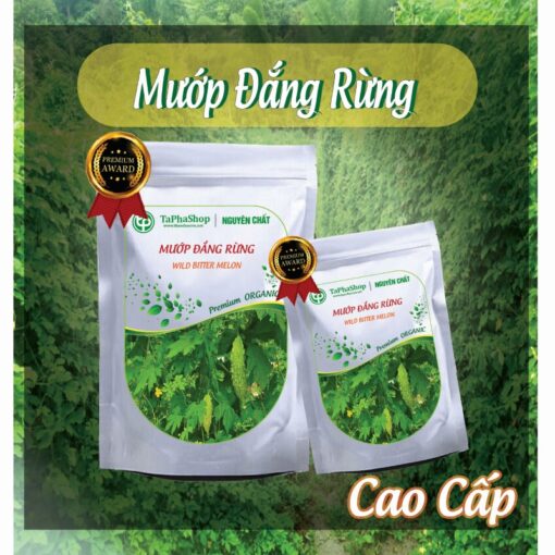 Hướng dẫn sử dụng mướp đắng rừng hỗ trợ điều trị tiểu đường 