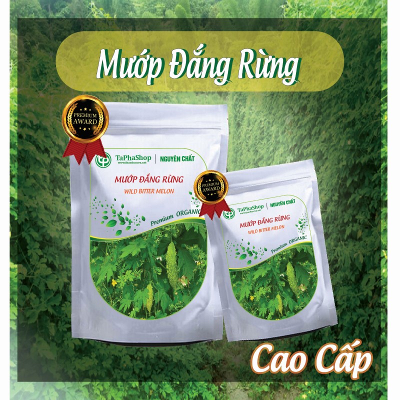 Hướng dẫn sử dụng mướp đắng rừng hỗ trợ điều trị tiểu đường