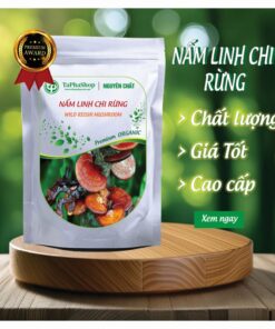Giới thiệu nấm linh chi rừng tại Thảo Dược Tấn Phát