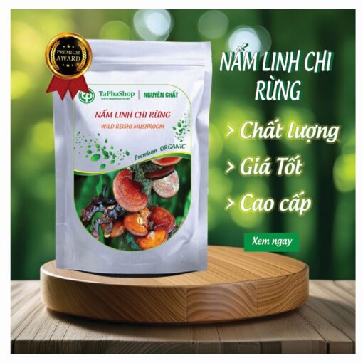 Giới thiệu nấm linh chi rừng tại Thảo Dược Tấn Phát