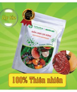 Công dụng của nấm linh chi rừng trong việc điều trị ung thư