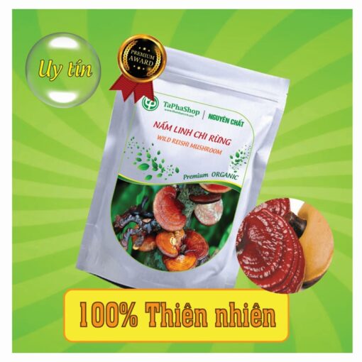 Công dụng của nấm linh chi rừng trong việc điều trị ung thư