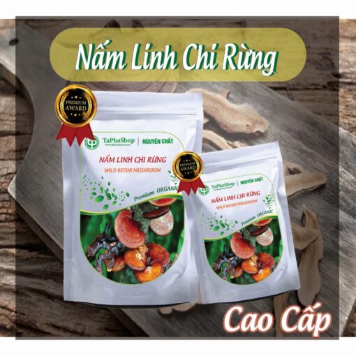 Hướng dẫn sử dụng nấm linh chi rừng hỗ trợ điều trị ung thư