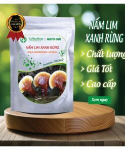 Nấm lim xanh rừng Tấn Phát