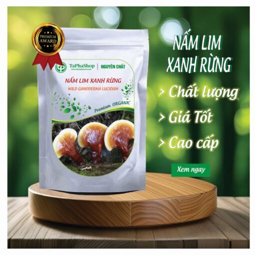 Nấm lim xanh rừng Tấn Phát