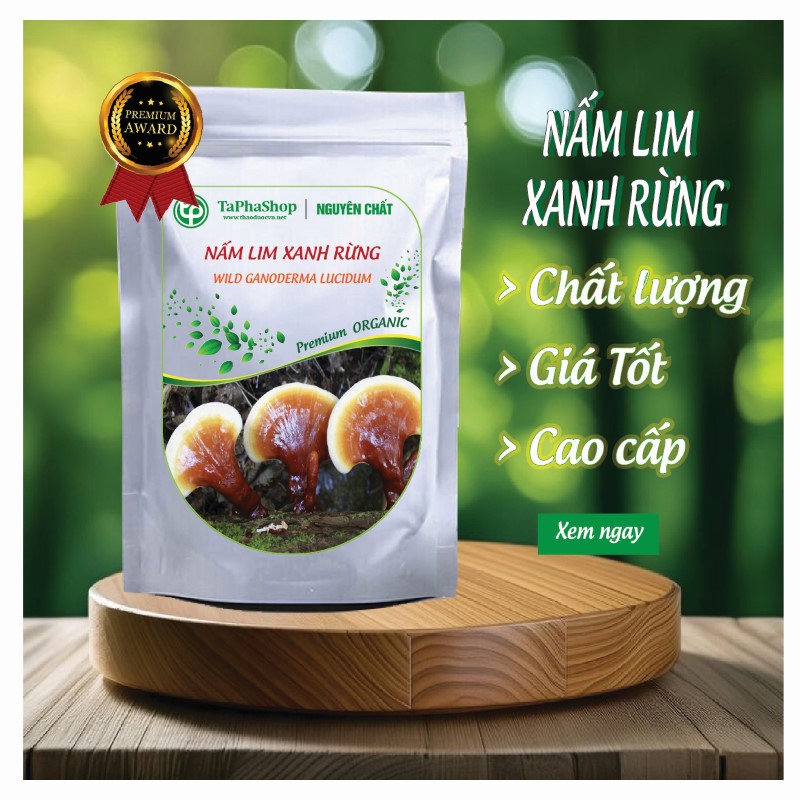 Nấm lim xanh rừng Tấn Phát