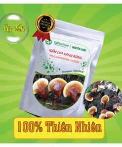 Công dụng nổi bật của nấm lim xanh rừng trong việc hỗ trợ điều trị ung thư