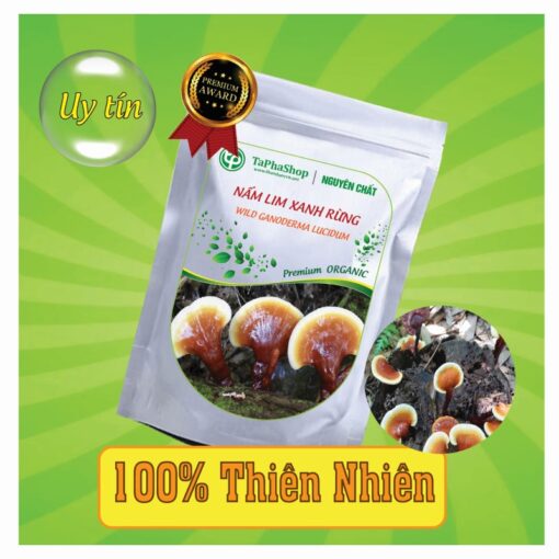 Công dụng nổi bật của nấm lim xanh rừng trong việc hỗ trợ điều trị ung thư