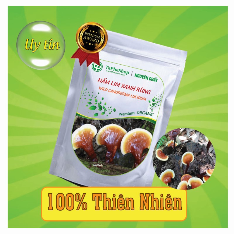 Công dụng nổi bật của nấm lim xanh rừng trong việc hỗ trợ điều trị ung thư