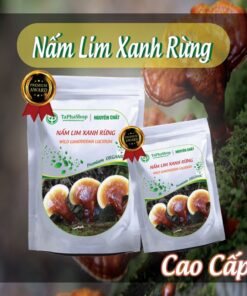 Hướng dẫn sử dụng nấm lim xanh rừng hỗ trợ điều trị ung thư hiệu quả