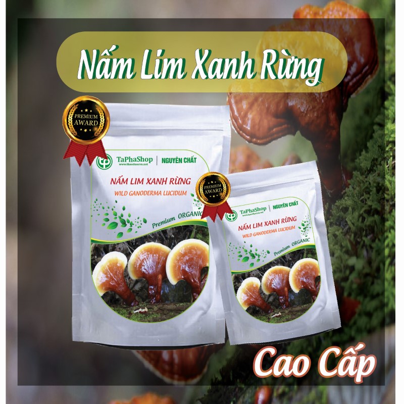 Hướng dẫn sử dụng nấm lim xanh rừng hỗ trợ điều trị ung thư hiệu quả
