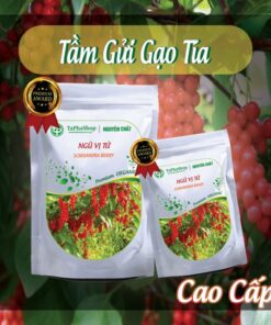 Cách sử dụng ngũ vị tử chữa mất ngủ hiệu quả