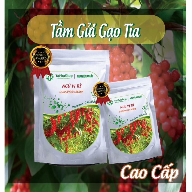 Cách sử dụng ngũ vị tử chữa mất ngủ hiệu quả