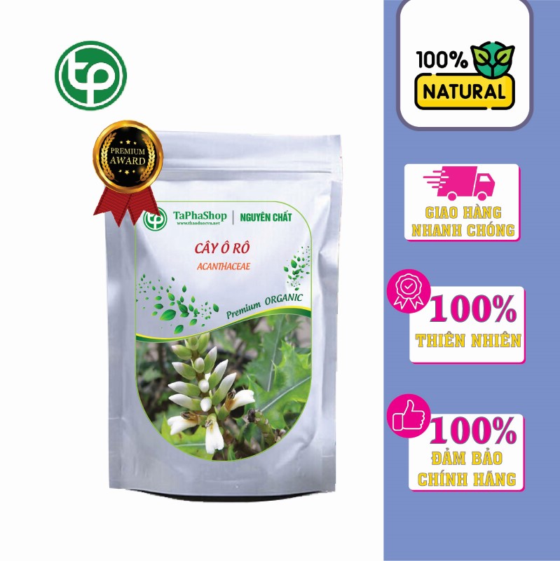 Cây ô rô Thảo Dược Tấn Phát 