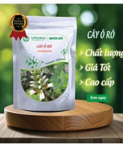 Giới thiệu sản phẩm cây ô rô mát gan tại Thảo Dược Tấn Phát