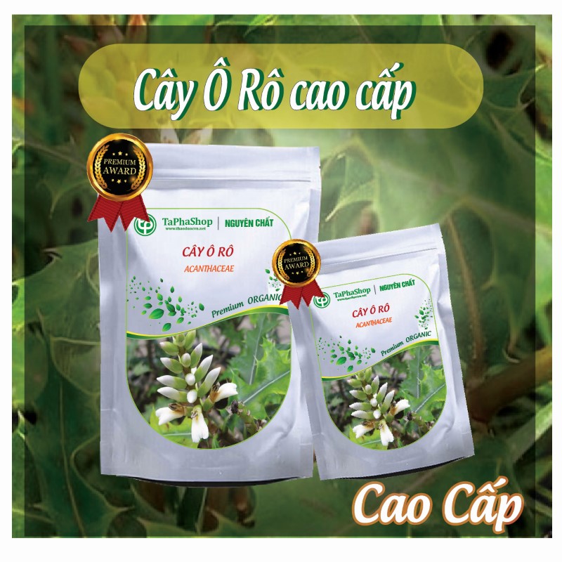 Hướng dẫn sử dụng cây ô rô hỗ trợ điều trị mát gan