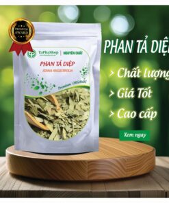 Giới thiệu phan tả diệp từ Tấn Phát 