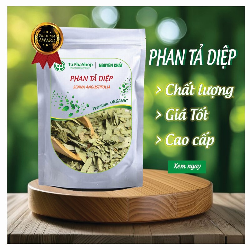 Giới thiệu phan tả diệp từ Tấn Phát
