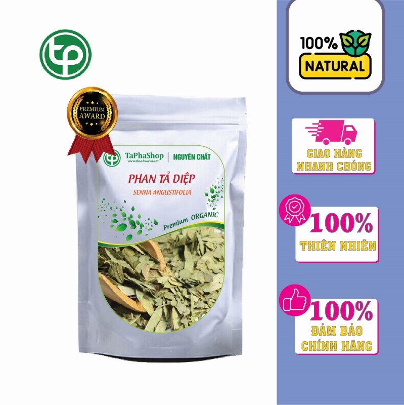 Phan tả diệp là gì?