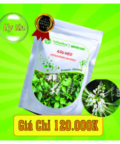 Công dụng của râu mèo trong điều trị sỏi thận 