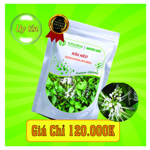 Công dụng của râu mèo trong điều trị sỏi thận 