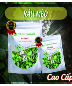 Cách dùng râu mèo hỗ trợ giảm sỏi thận an toàn, đúng chuẩn