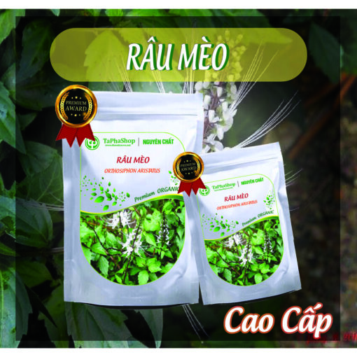 Cách dùng râu mèo hỗ trợ giảm sỏi thận an toàn, đúng chuẩn