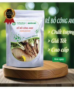 Giới thiệu rễ bồ công anh của Tấn Phát