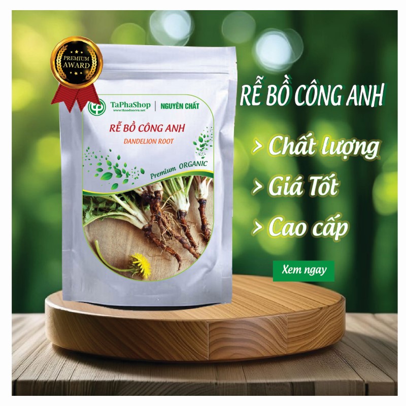 Giới thiệu rễ bồ công anh của Tấn Phát