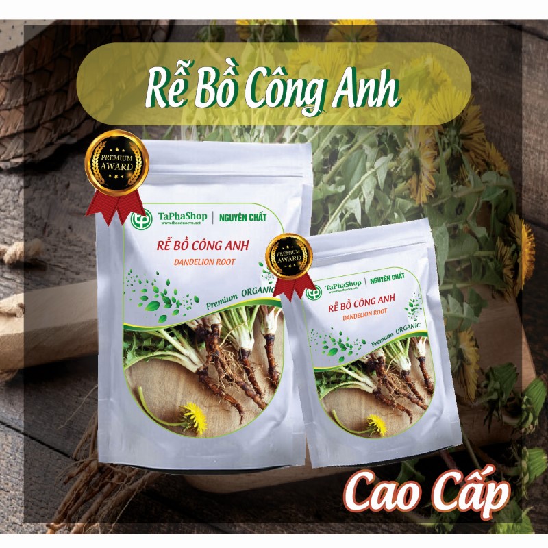 Hướng dẫn sử dụng rễ bồ công anh hỗ trợ điều trị viêm gan