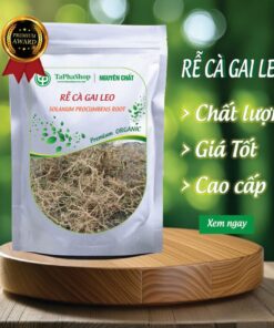 Giới thiệu rễ cà gai leo Tấn Phát