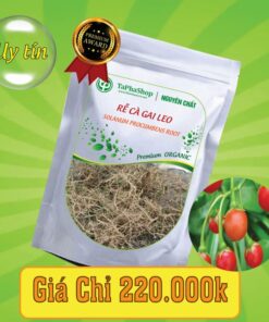 Công dụng của rễ cà gai leo trong việc hỗ trợ điều trị viêm gan