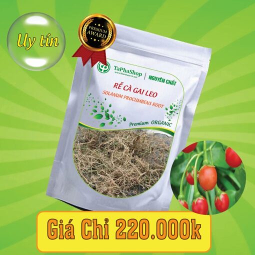 Công dụng của rễ cà gai leo trong việc hỗ trợ điều trị viêm gan