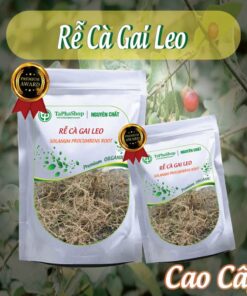 Hướng dẫn sử dụng rễ cà gai leo đúng cách