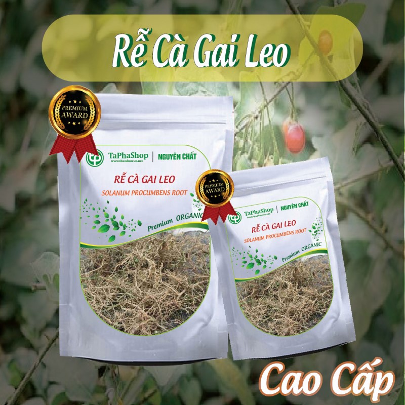 Hướng dẫn sử dụng rễ cà gai leo đúng cách