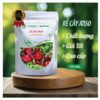 Rễ cây atiso chất lượng từ Thảo Dược Tấn Phát