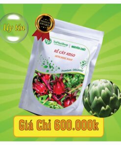 Công dụng nổi bật của rễ cây atiso hỗ trợ điều trị suy gan