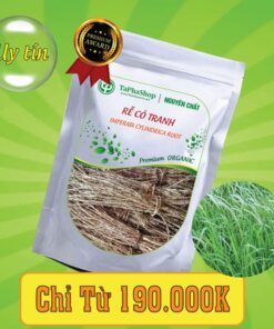 Công dụng của rễ cỏ tranh trong điều trị sỏi thận 