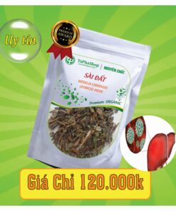 Cách sử dụng sài đất hỗ trợ điều trị viêm gan