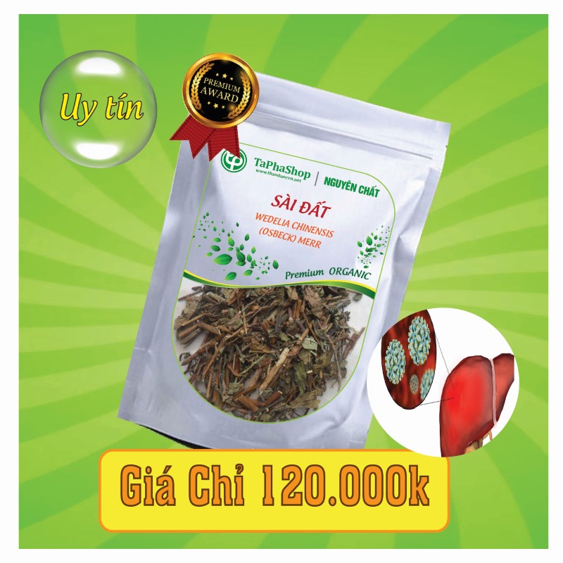 Cách sử dụng sài đất hỗ trợ điều trị viêm gan