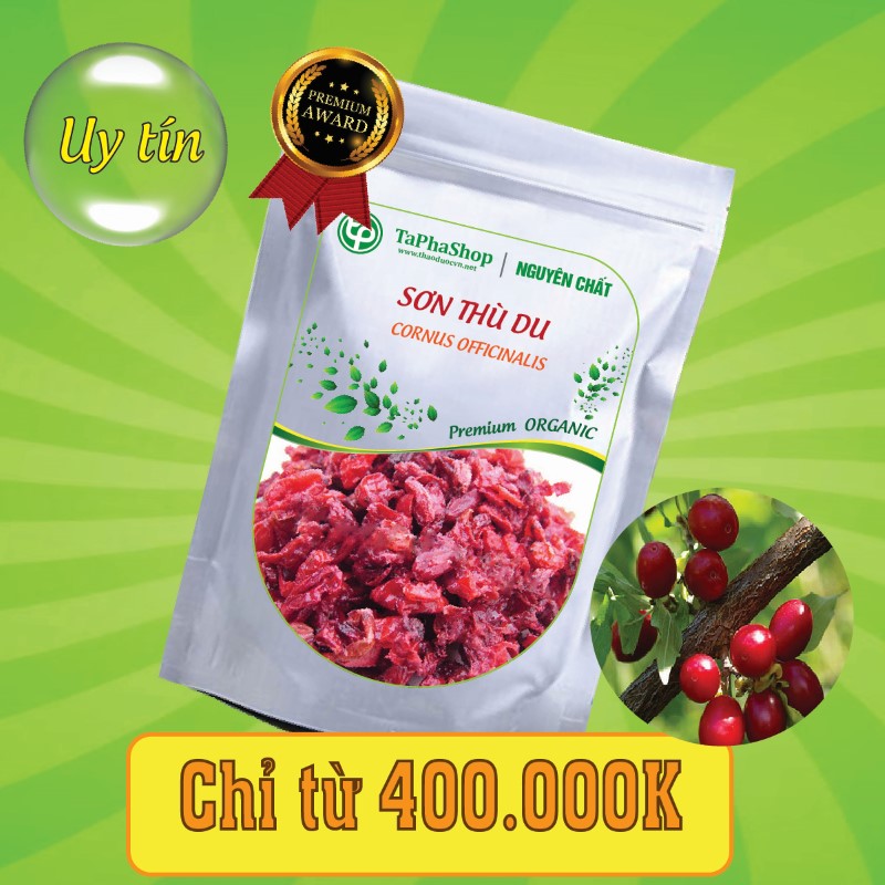 Công dụng y khoa của sơn thù du trong việc hỗ trợ điều trị suy nhược cơ thể