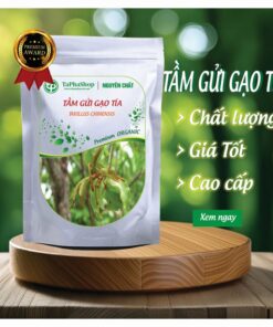 Giới thiệu sản phẩm tầm gửi gạo tía của Tấn Phát