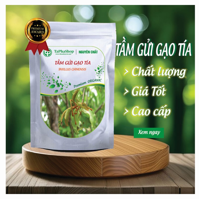 Giới thiệu sản phẩm tầm gửi gạo tía của Tấn Phát
