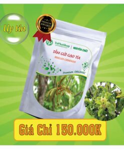 Công dụng y khoa của tầm gửi gạo tía đối với bệnh ung thư