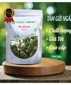 Giới thiệu sản phẩm tầm gửi ngái của Tấn Phát