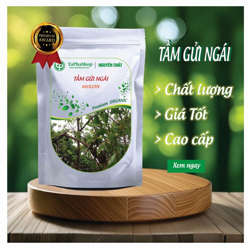 Giới thiệu sản phẩm tầm gửi ngái của Tấn Phát